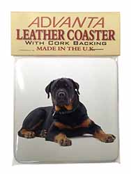 Rottweiler Dog Single Leather Photo Coaster