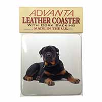 Rottweiler Dog Single Leather Photo Coaster