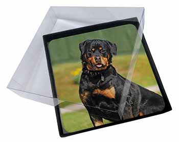 4x  Rottweiler Dog Picture Table Coasters Set in Gift Box