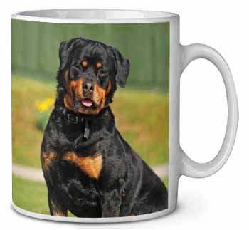  Rottweiler Dog Ceramic 10oz Coffee Mug/Tea Cup