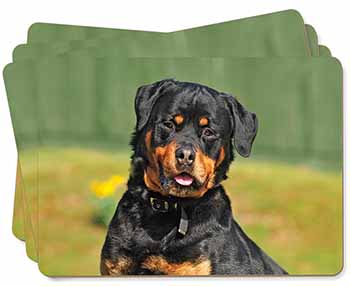  Rottweiler Dog Picture Placemats in Gift Box