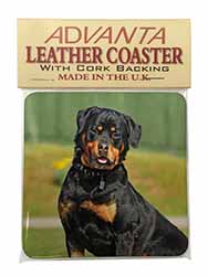  Rottweiler Dog Single Leather Photo Coaster