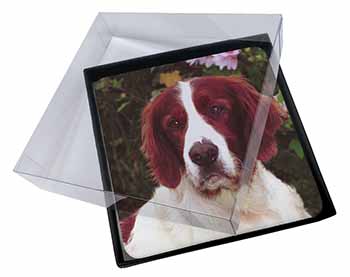 4x Irish Red and White Setter Dog Picture Table Coasters Set in Gift Box