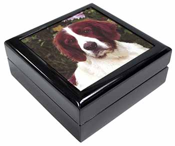 Irish Red and White Setter Dog Keepsake/Jewellery Box