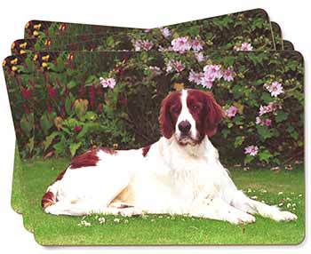 Irish Red and White Setter Dog Picture Placemats in Gift Box