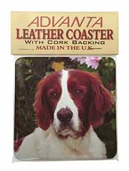 Irish Red and White Setter Dog Single Leather Photo Coaster