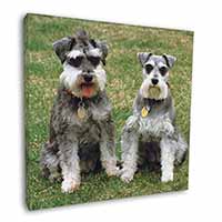 Schnauzer Dogs Square Canvas 12"x12" Wall Art Picture Print