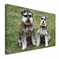 Schnauzer Dogs Canvas X-Large 30"x20" Wall Art Print