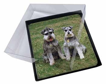4x Schnauzer Dogs Picture Table Coasters Set in Gift Box