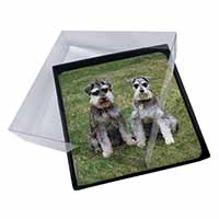 4x Schnauzer Dogs Picture Table Coasters Set in Gift Box