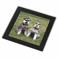 Schnauzer Dogs Black Rim High Quality Glass Coaster