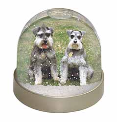 Schnauzer Dogs Snow Globe Photo Waterball