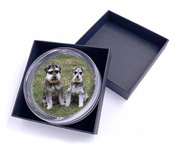 Schnauzer Dogs Glass Paperweight in Gift Box