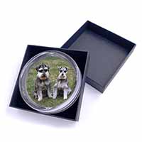 Schnauzer Dogs Glass Paperweight in Gift Box