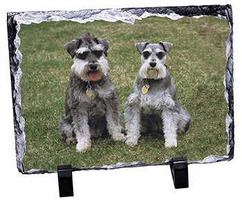 Schnauzer Dogs, Stunning Photo Slate