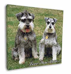 Schnauzers 