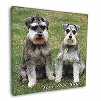 Schnauzers 