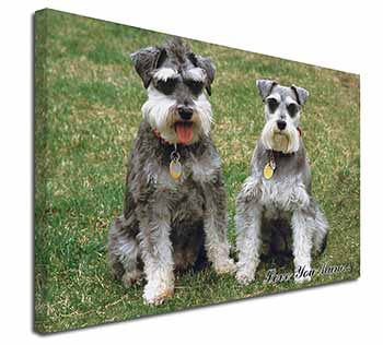 Schnauzers 