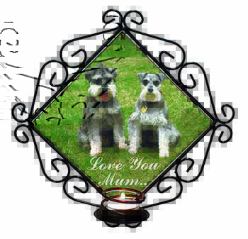 Schnauzers 