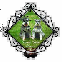 Schnauzers 