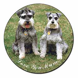 Schnauzers 