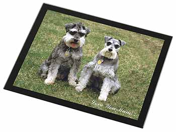 Schnauzers 