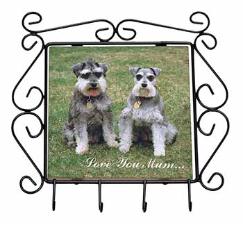 Schnauzers 