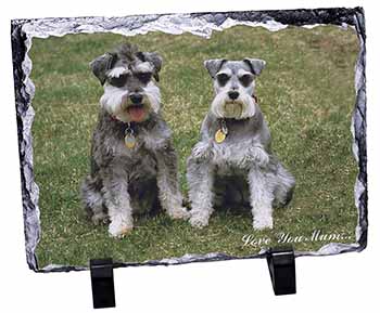 Schnauzers 