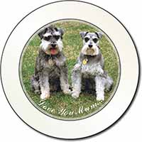 Schnauzers 