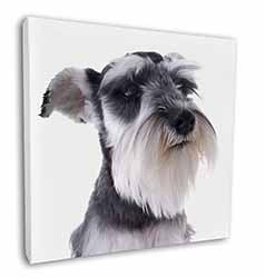 Schnauzer Dog Square Canvas 12"x12" Wall Art Picture Print