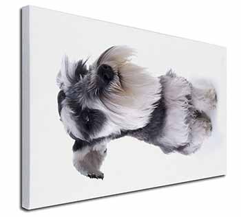 Schnauzer Dog Canvas X-Large 30"x20" Wall Art Print