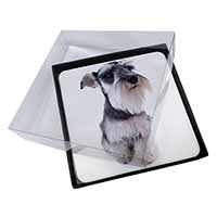4x Schnauzer Dog Picture Table Coasters Set in Gift Box
