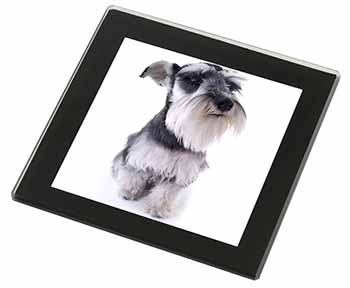 Schnauzer Dog Black Rim High Quality Glass Coaster