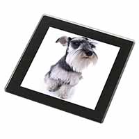 Schnauzer Dog Black Rim High Quality Glass Coaster