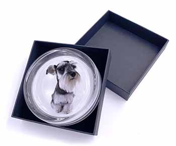Schnauzer Dog Glass Paperweight in Gift Box