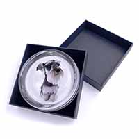 Schnauzer Dog Glass Paperweight in Gift Box