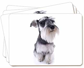 Schnauzer Dog Picture Placemats in Gift Box
