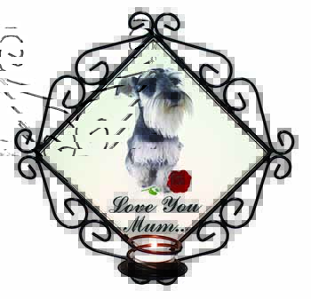 Schnauzer+Rose 