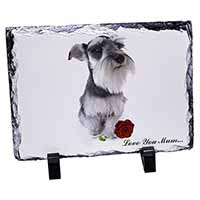 Schnauzer+Rose 