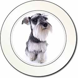 Schnauzer Dog Car or Van Permit Holder/Tax Disc Holder