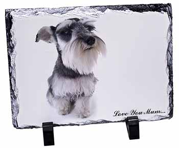 Schnauzer Dog 