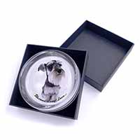 Schnauzer Dog-Love Glass Paperweight in Gift Box