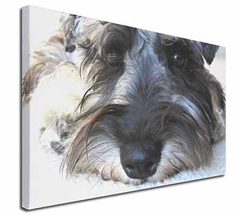 Schnauzer Dog Canvas X-Large 30"x20" Wall Art Print