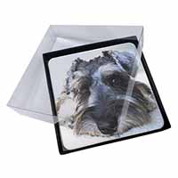 4x Schnauzer Dog Picture Table Coasters Set in Gift Box