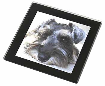 Schnauzer Dog Black Rim High Quality Glass Coaster