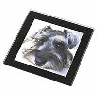 Schnauzer Dog Black Rim High Quality Glass Coaster