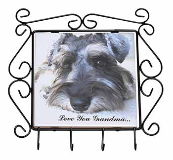 Schnauzer Dog 