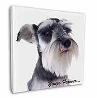 Schnauzer Dog 