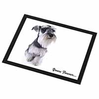 Schnauzer Dog 