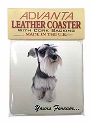 Schnauzer Dog 